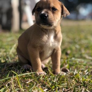 Meet your Posher, Karleigh